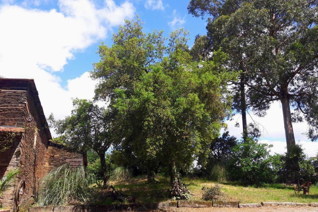 Porto Natura House Valongo  Dış mekan fotoğraf